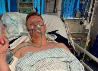 Musician Recovers from Rare Brain Tumour Surgery: Update on NI Artist’s Health news-14082024-122900