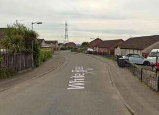 Violent Attack: Four Men Throw Petrol Bomb at House – Shocking Afternoon Incident news-14082024-184341