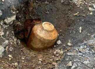 WWII Bomb Image Sparks Mass Evacuation: What Happened? news-18082024-222220