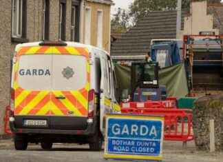 Fatal Lorry Collision Claims Elderly Woman’s Life in Co Donegal: Gardai Seek Witnesses news-31082024-121109