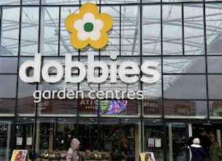 Dobbies to Close Northern Ireland Store and 17 UK Outlets news-01102024-015804