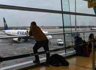 Dog on Runway Causes Suspension of Dublin Airport Departures news-15092024-071808