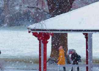 City Council Overturns Approval for Winter Botanic Ice Event news-24102024-231321