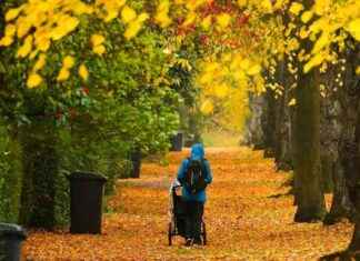 Weekend Weather Forecast and Winter Clock Change Update: NI Outlook news-25102024-051424