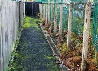 Man Charged with Sexual Assault in Alleyway: Court Case Update news-29102024-180505