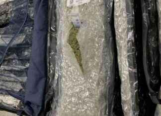 Northern Irish Woman Sentenced for £1.1m Drug Bust at Heathrow Airport news-02112024-003445