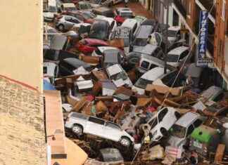 Ditching Fossil Fuels: Saving Lives by Transitioning to Clean EnergySources news-09112024-041448