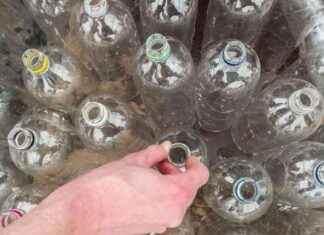 Northern Ireland’s Stormont Government Moving Forward with Deposit Return Scheme Implementation news-19112024-183837