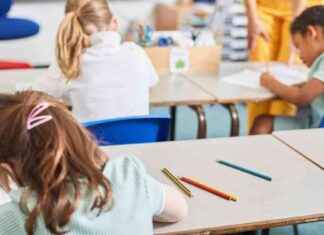 Supporting Bereaved Children: Charity Report for Teachers news-20112024-064016