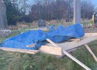 Uncovering the Truth: Exhumation and Investigation of Joe Lynskey’s Disappearance news-27112024-224223