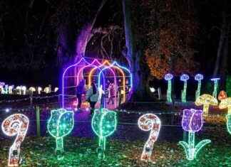 2025 Enchanted Winter Garden event: Price Increase Announcement 2025-enchanted-winter-garden-event-price-ncrease-announcement