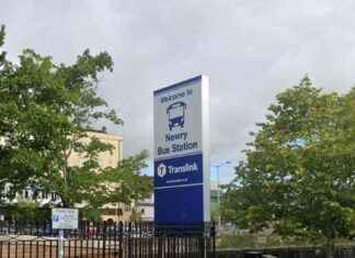 Translink Statement on Pedestrian Fatality: What Happened? translink-statement-on-pedestrian-fatality-what-happened