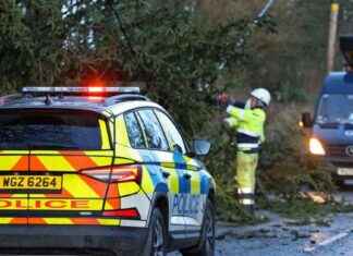 Update on NIE Power Outages After Storm Darragh update-on-ne-power-outages-after-storm-darragh