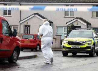 Two Men Arrested in North Down Stabbing Investigation two-men-arrested-in-north-down-stabbing-nvestigation