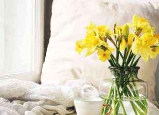 Beware: Florists caution on supermarket £1 daffodil bouquets beware-florists-caution-on-supermarket-1-daffodil-bouquets