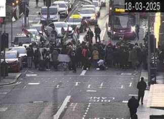 Pro-Palestinian Protest in Belfast Causes Rush-Hour Traffic Blockage pro-palestinian-protest-in-belfast-causes-rush-hour-traffic-blockage