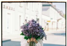 Reids Florist Lisburn Road Belfast: Why Locals Trust Their Blooms