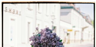 Reids Florist Lisburn Road Belfast: Why Locals Trust Their Blooms