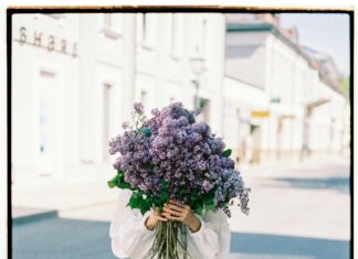 Reids Florist Lisburn Road Belfast: Why Locals Trust Their Blooms