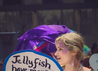 Lisburn Civic Centre: Discover Stunning Events and Unique Experiences