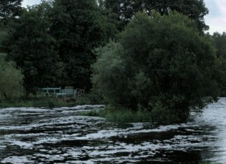 Lisburn Buscentre: Discover Essential Tips For Stress-Free Travel