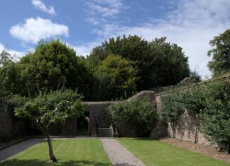 Supervalu Lisburn Secrets: Why Shoppers Can’t Get Enough