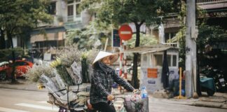 Reids Florist Lisburn Road: Why Locals Trust Their Stunning Blooms