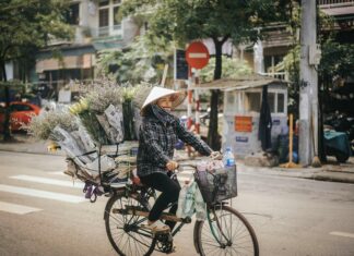 Reids Florist Lisburn Road: Why Locals Trust Their Stunning Blooms