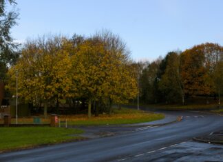 Lisburn City Council Lisburn: Discover How It Transforms Your Community