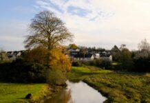Houses To Rent Lisburn: Discover Stunning Homes With Unbeatable Value