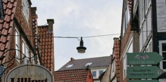 Lisburn Council: Discover How It Transforms Your Local Community