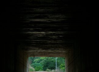 Lisburn Road Secrets: Discover Hidden Gems and Unique Experiences