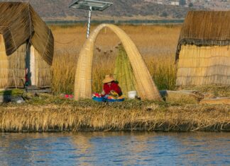 Habitat For Humanity Lisburn: How They Transform Local Lives