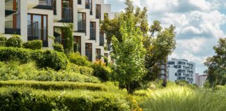 Lisburn District Council: Discover How It Shapes Your Community Today