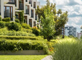 Lisburn District Council: Discover How It Shapes Your Community Today