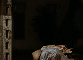 Lisburn Castlereagh Council Bin Collection: Ultimate Guide Revealed