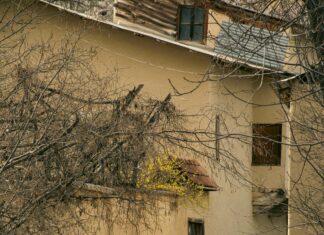 Thompson House Lisburn: Discover The Hidden Gem Of Historic Charm