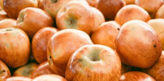 Ashvale Farm Lisburn: Discover The Hidden Gem Of Fresh Flavours