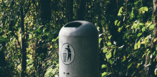 Lisburn Bin Collection: Ultimate Guide To Hassle-Free Waste Disposal