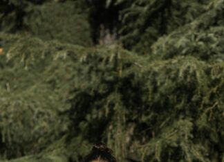 Dobbies Garden World Lisburn: Discover Incredible Deals & Tips!