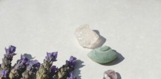 Lagan Oils Lisburn: Discover Why Locals Trust Their Energy Experts