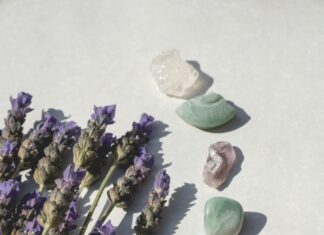 Lagan Oils Lisburn: Discover Why Locals Trust Their Energy Experts