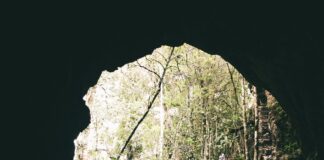Lisburn And Castlereagh Council: Discover Hidden Opportunities Today