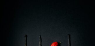Spice Lisburn: Discover Irresistible Flavours That Ignite Your Tastebuds