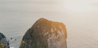 Island Centre Lisburn: Discover Hidden Gems and Vibrant Shopping!