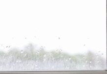 Weather Lisburn N Ireland: Discover How It Impacts Your Day-to-Day Life