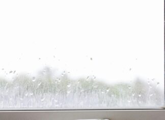 Weather Lisburn N Ireland: Discover How It Impacts Your Day-to-Day Life