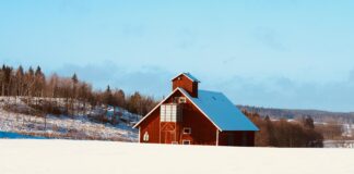 Bungalows For Sale Lisburn: Discover Your Dream Home Today