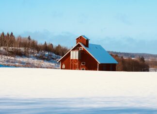 Bungalows For Sale Lisburn: Discover Your Dream Home Today