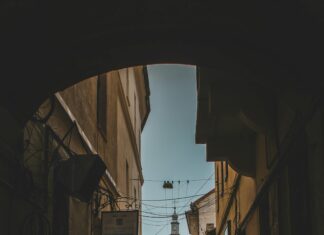 Hairdressers On Lisburn Road Belfast: Discover Top Styles Today